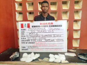 NDLEA Seizes N4.4bn Loud at Lagos Ports, Arrests 101-Year-Old Woman 5 WhatsApp Image 2026 08 23 at 10.37.56 1