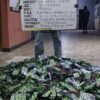 NDLEA intercepts Colos Shipment
