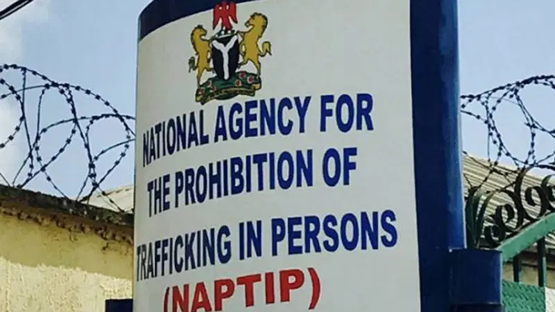 Cross River Authorities Probe Alleged Trafficking of Newborns 5 image 43
