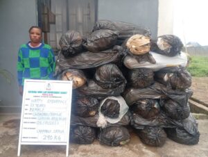NDLEA Arrests 83-Year-Old Repeat Offender, South African Woman in Nationwide Drug Crackdown 3 IMG 20261011 WA0007