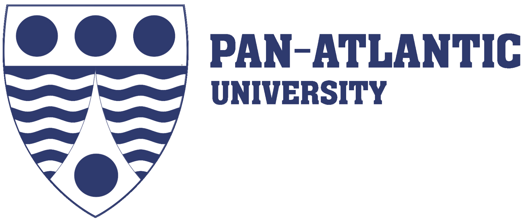 Pan-Atlantic University Professor Examines Africa’s Energy Transition Challenge 3 noname